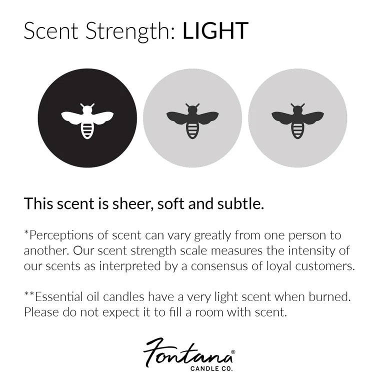 Citrus Peel & Pine Essential Oil Candle - Mindful Essentials